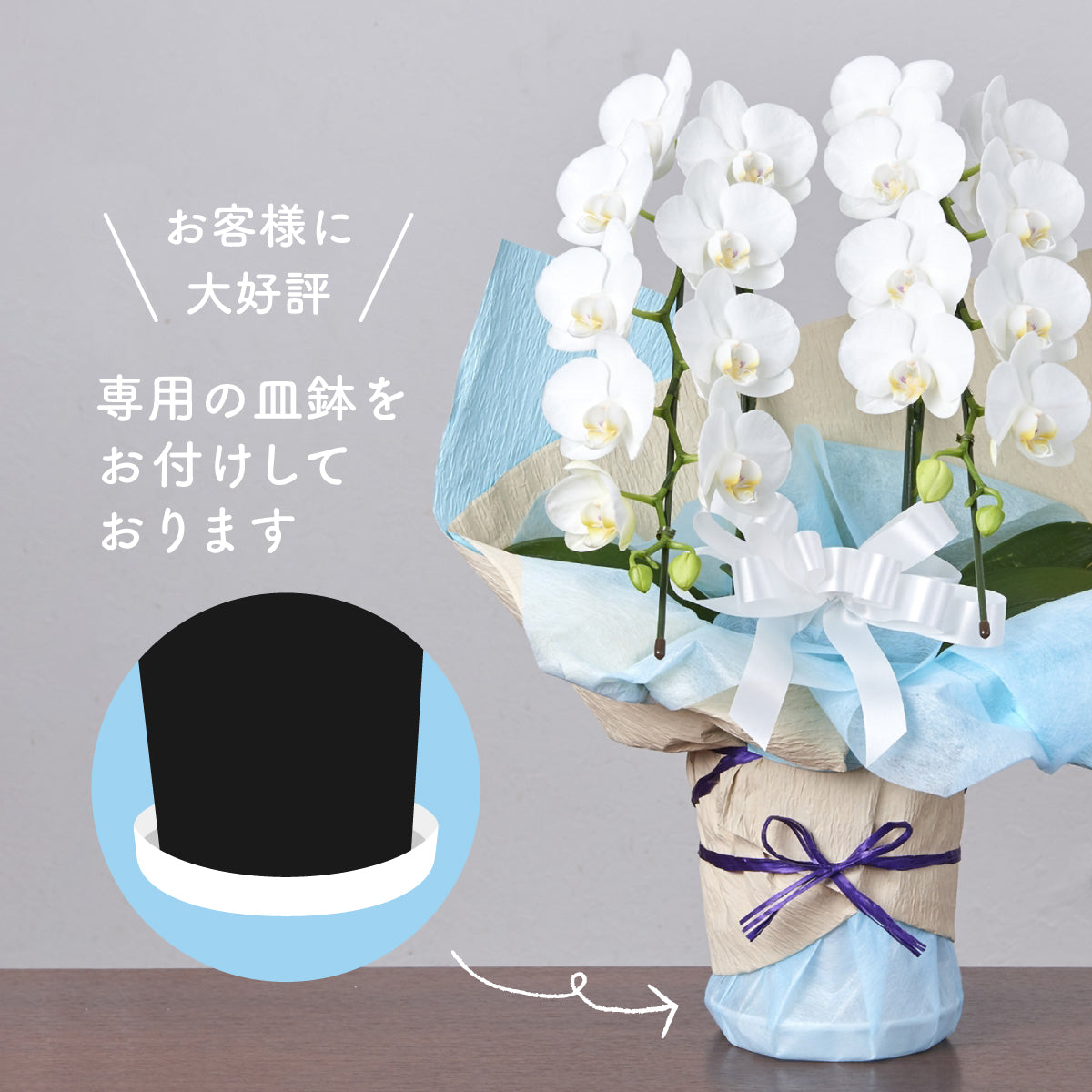 御供え胡蝶蘭【白】(3本立ち/42輪前後)