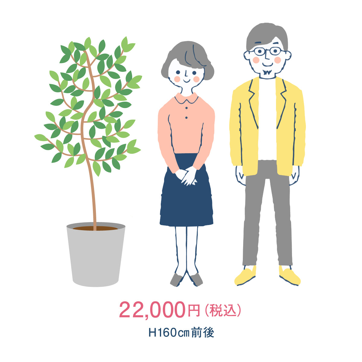 御祝い観葉植物(植物おまかせ/金額指定/税込)