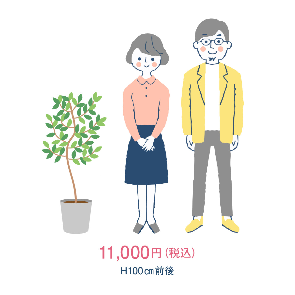御祝い観葉植物(植物おまかせ/金額指定/税込)
