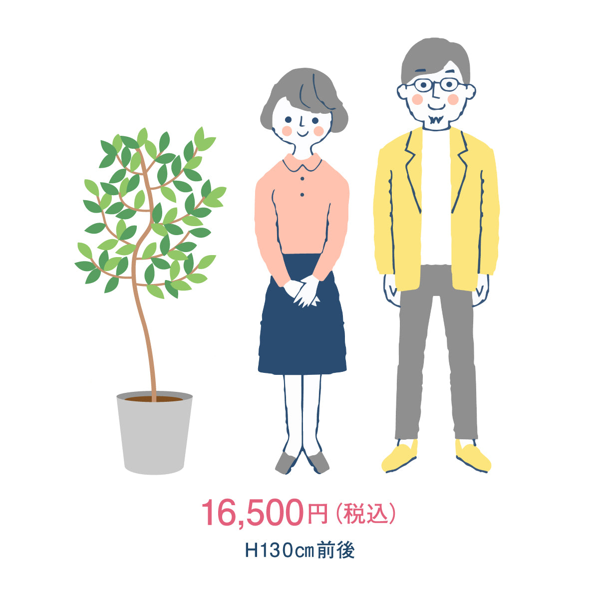 御祝い観葉植物(植物おまかせ/金額指定/税込)