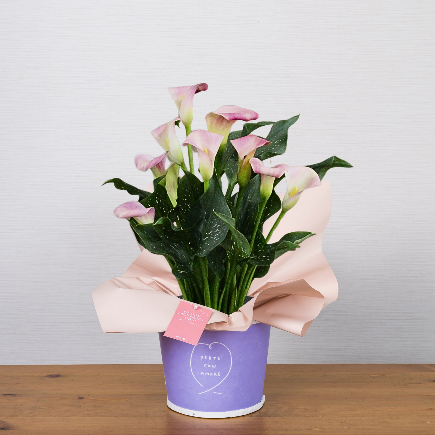 C10[5/2-6 受取・配送]■カラー■マレーロ