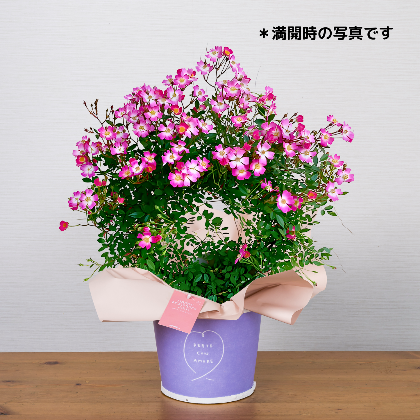 C16[5/8-10 受取・配送]■ツルバラ■アズミノ リング仕立て