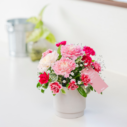 B01[5/2-6 受取・配送]■アレンジメント■まごころピンク